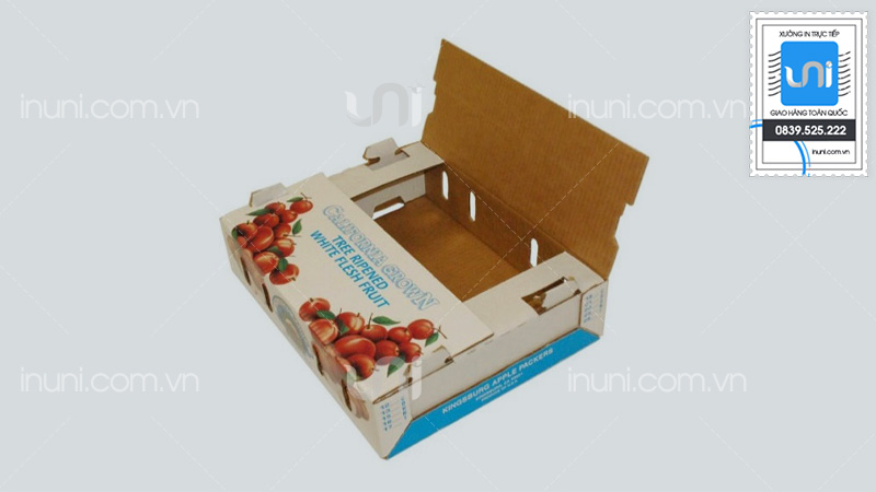 Hộp carton nắp chồm